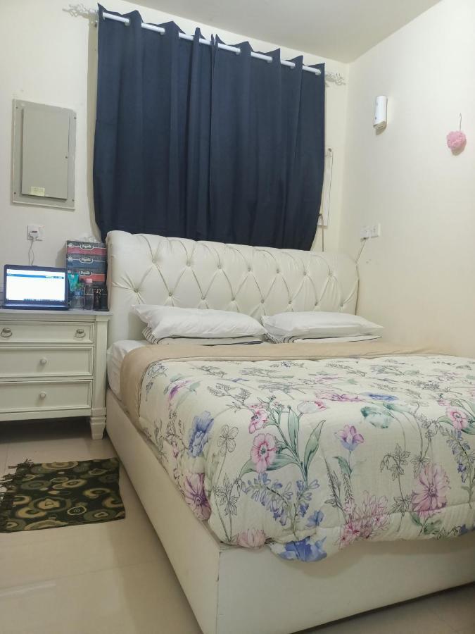 Comfy Studio Apartment Apartment