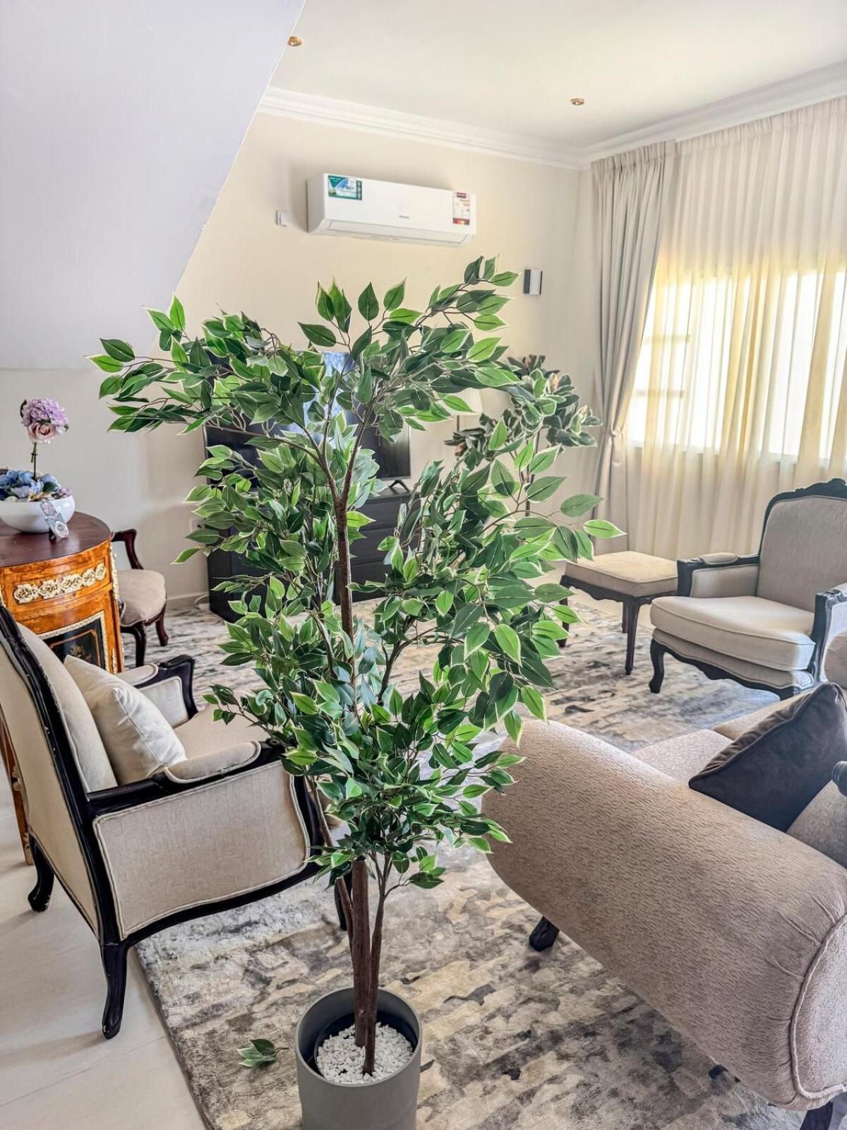 Prestigious In Um Salal Izghawa