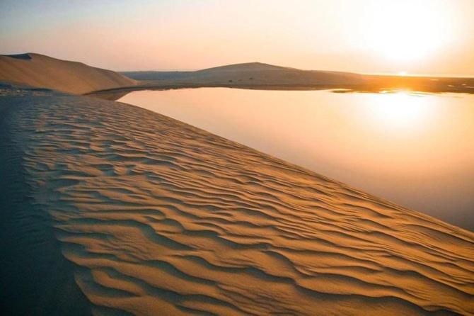 Full Day Desert Safari & Day At Campsite